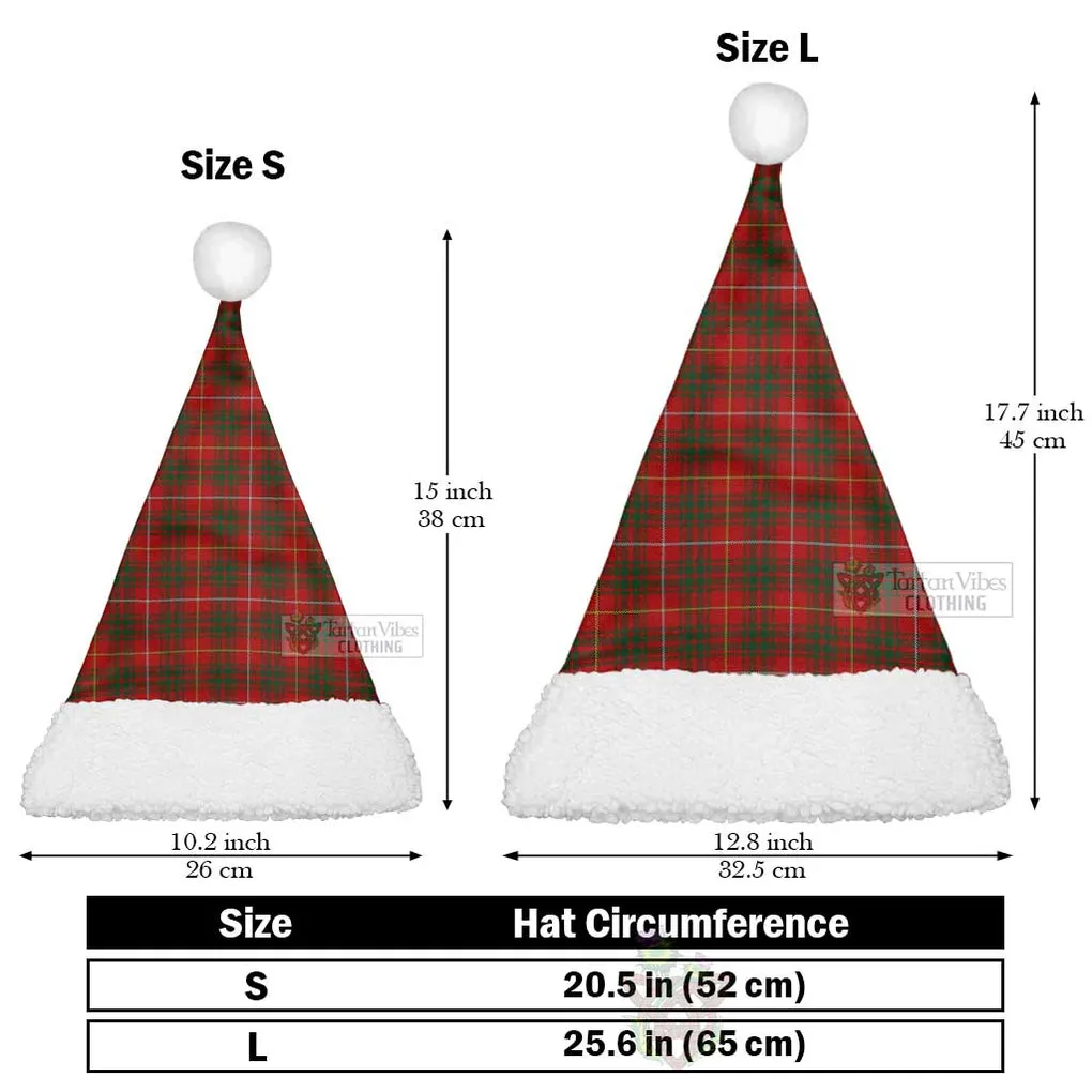 Bruce Tartan Christmas Santa Hats