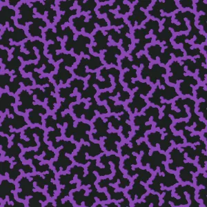 February 2024 | Coral - Purple by Kaffe Fassett for Free Spirit