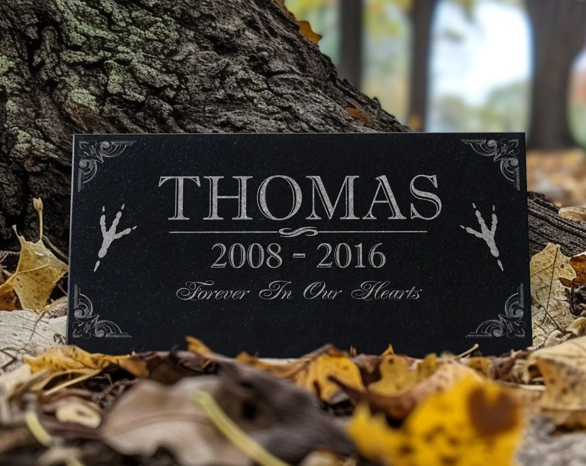 Personalized Chicken Memorial Stone w/ Photo: Rooster Headstone, Hen Grave Marker, Outdoor Backyard Bird Burial Marker, Pet Garden Tribute